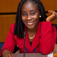 Executive Assistant | Program Manager